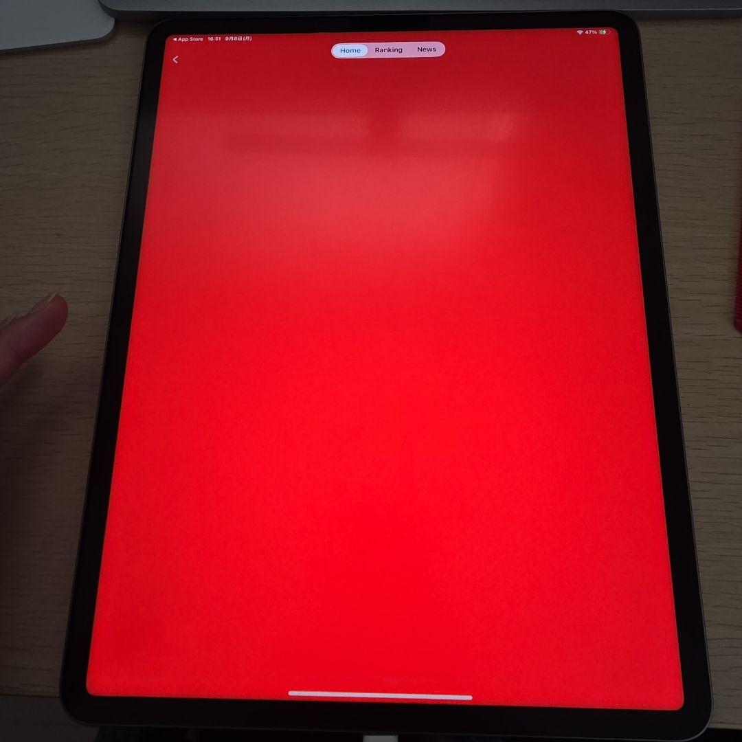 iPad Pro 12.9 第6世代 Wi-Fi 256GB スペースグレイ