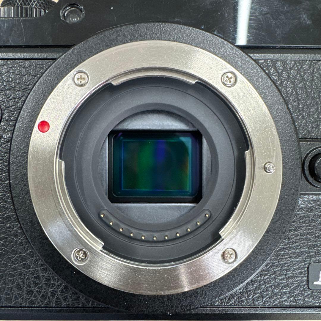 LUMIX GX8（ボディ）+予備バッテリー+チャージャー