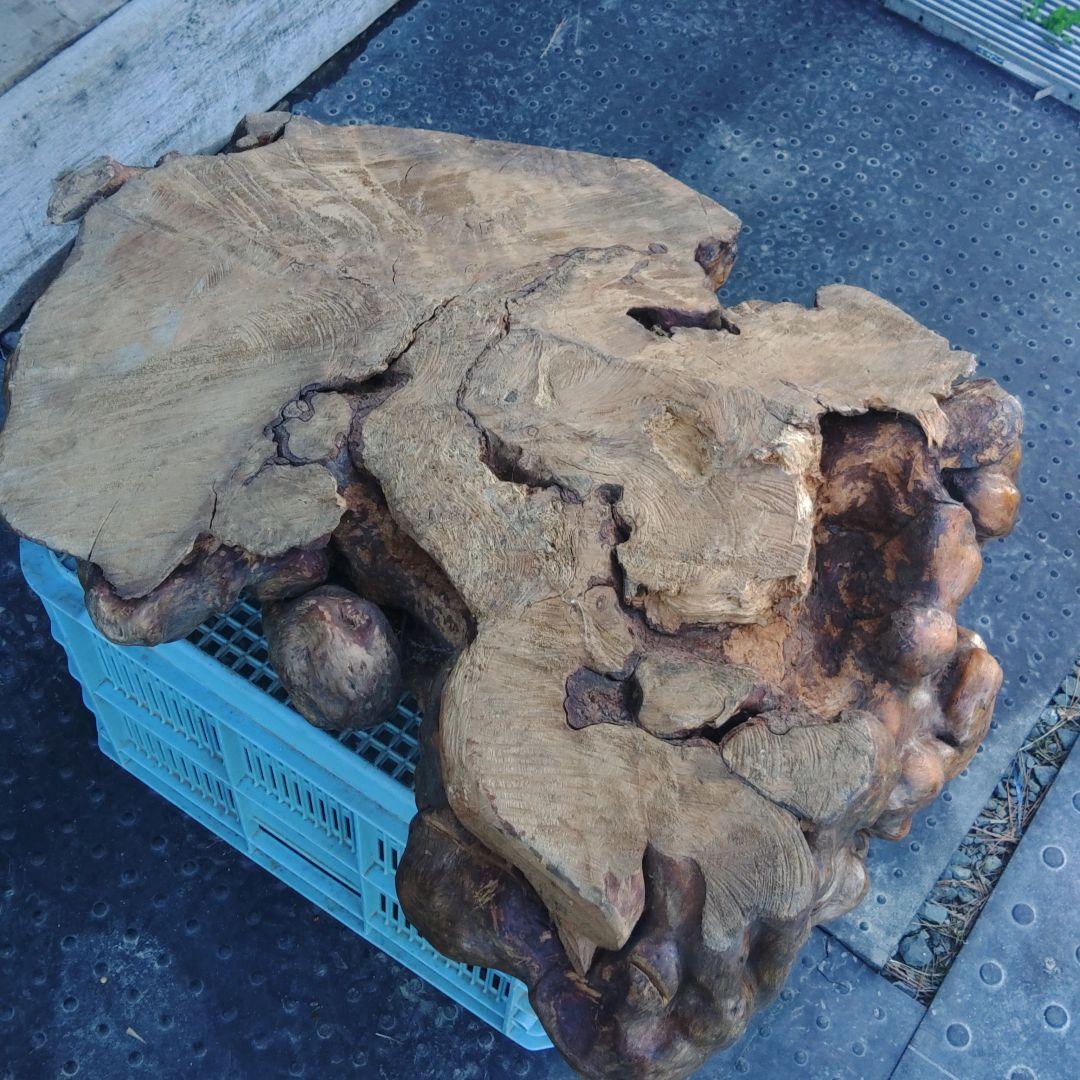 インテリア用加工素材　コブ材