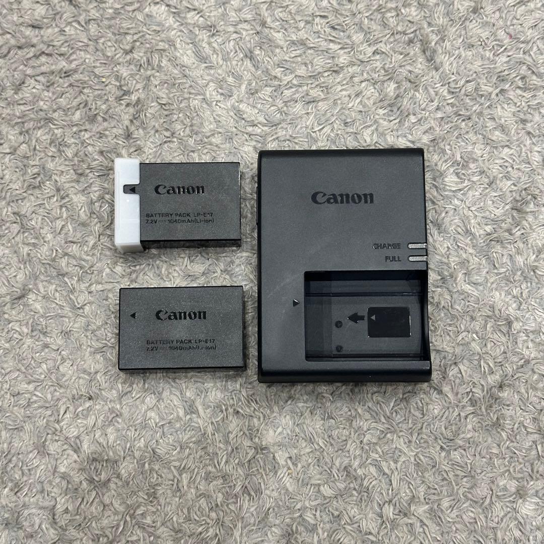 【美品】Canon EOS R8 本体　バッテリー2つ