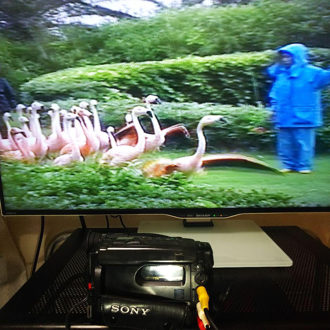 Sony video Hi8 Handycam CCD-TR705 再生可能