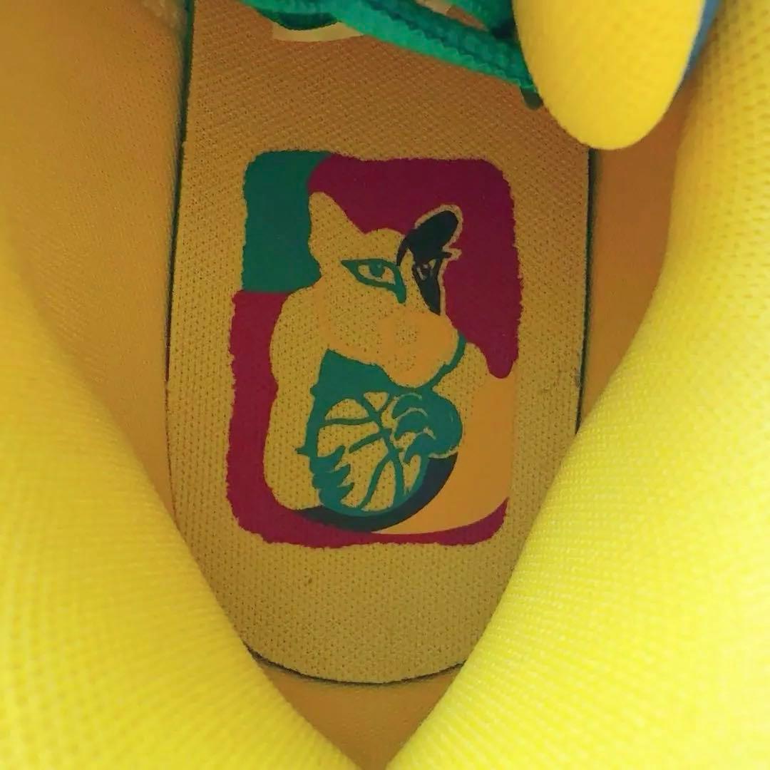 All-Pro Nitro Dylan Exhibit【29cm】メンズバッシュ