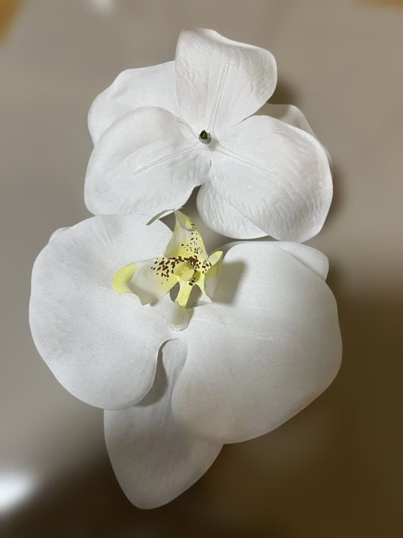 胡蝶蘭 造花　まとめセット