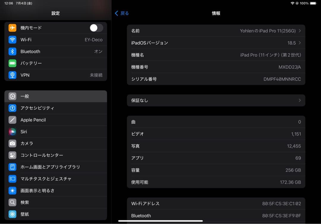 iPad Pro 11インチ 第二世代 256GB WIFI シルバー 箱付き