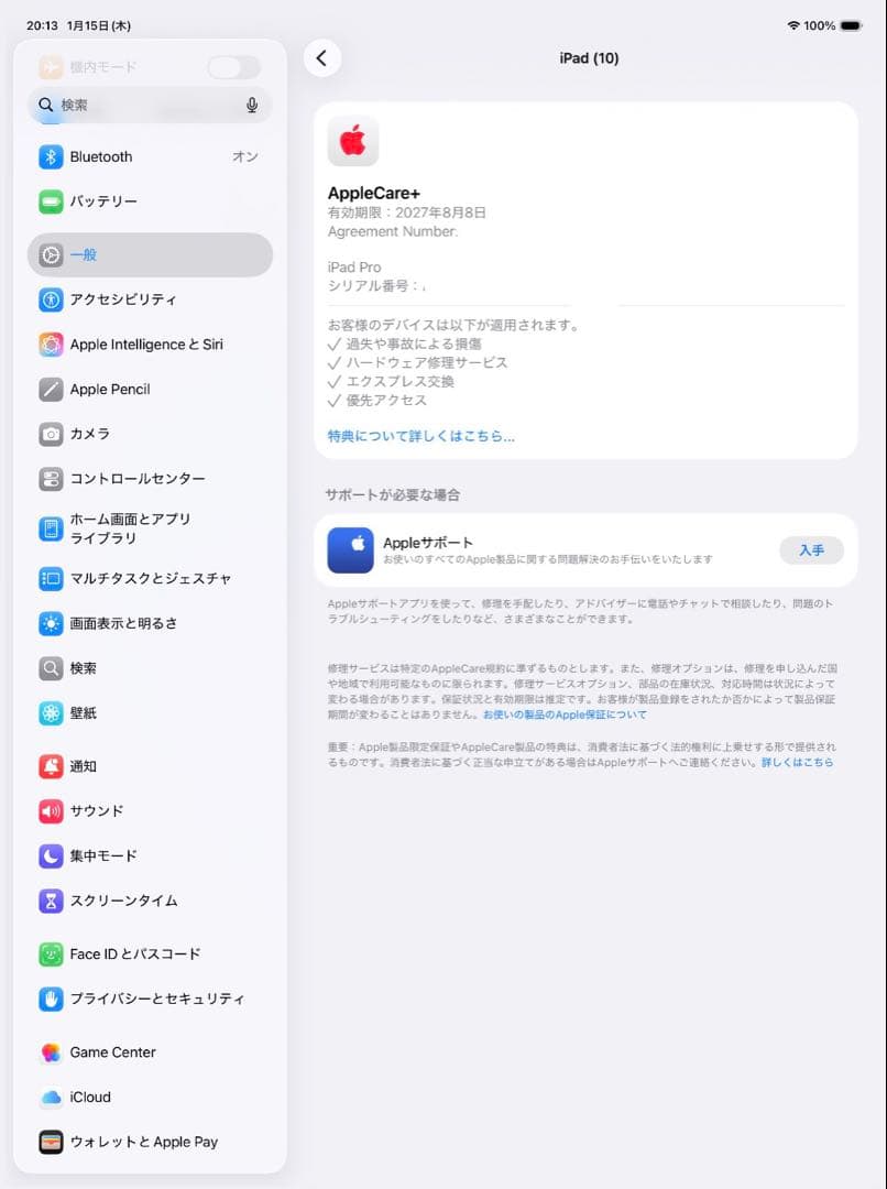 13インチiPadPro (M4)Wi-Fi 256GB Applecare+付