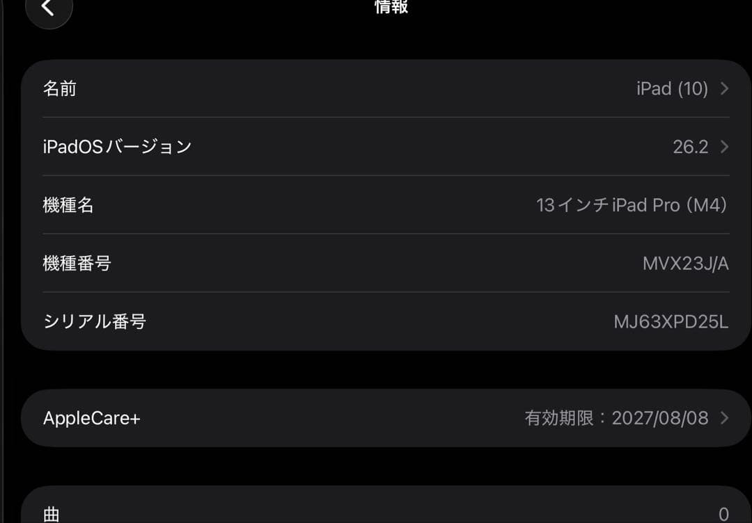 13インチiPadPro (M4)Wi-Fi 256GB Applecare+付