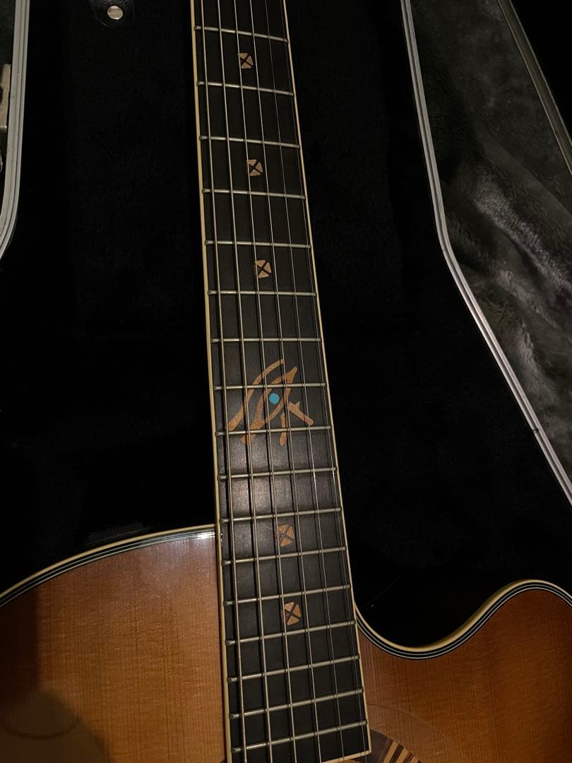 【希少】YAMAHA CPX-15E Compass series