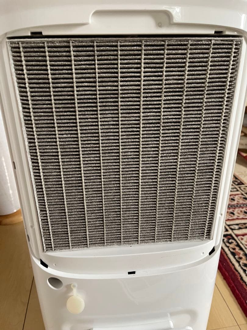 アイリスオーヤマ　空気清浄機能付除湿機「DCE-120」