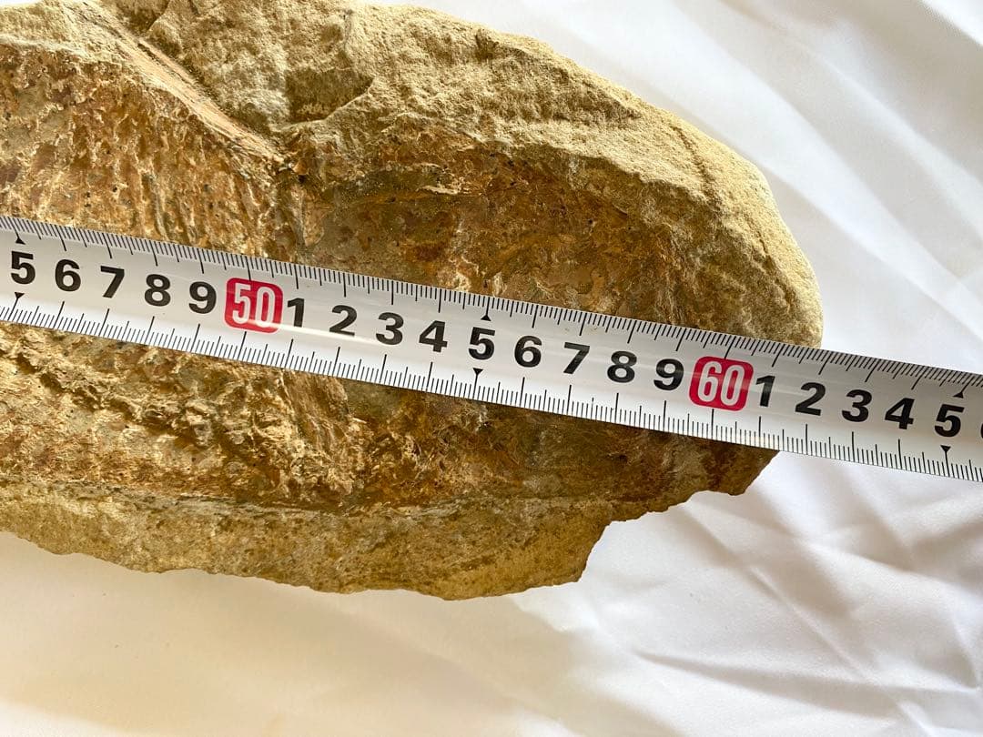 ブラジル産　魚の化石　4.7kg 62cm×14cm ①