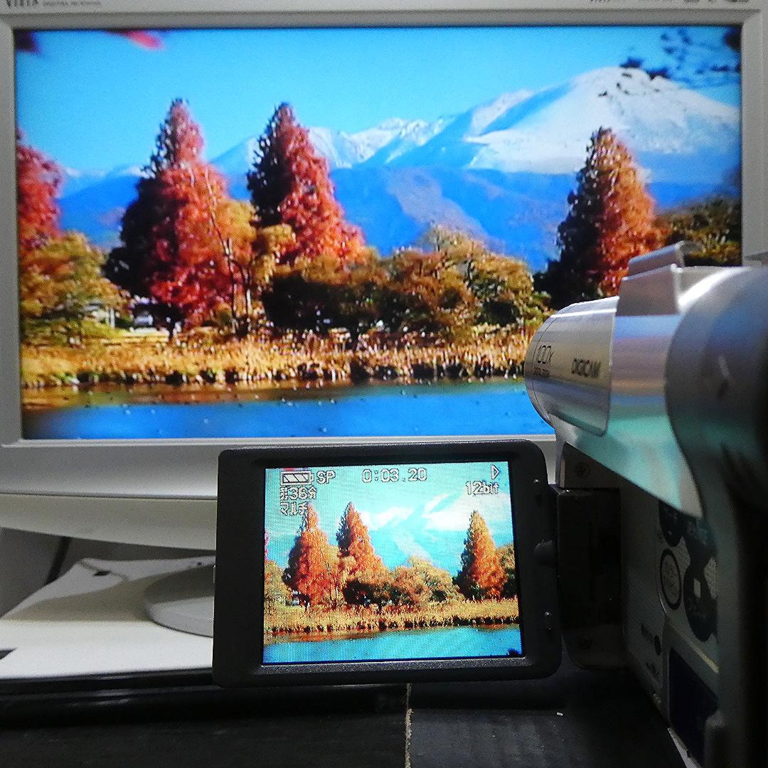 動作良好 パナソニック NV-GS50　MiniDV ビデオ ダビングに最適 !