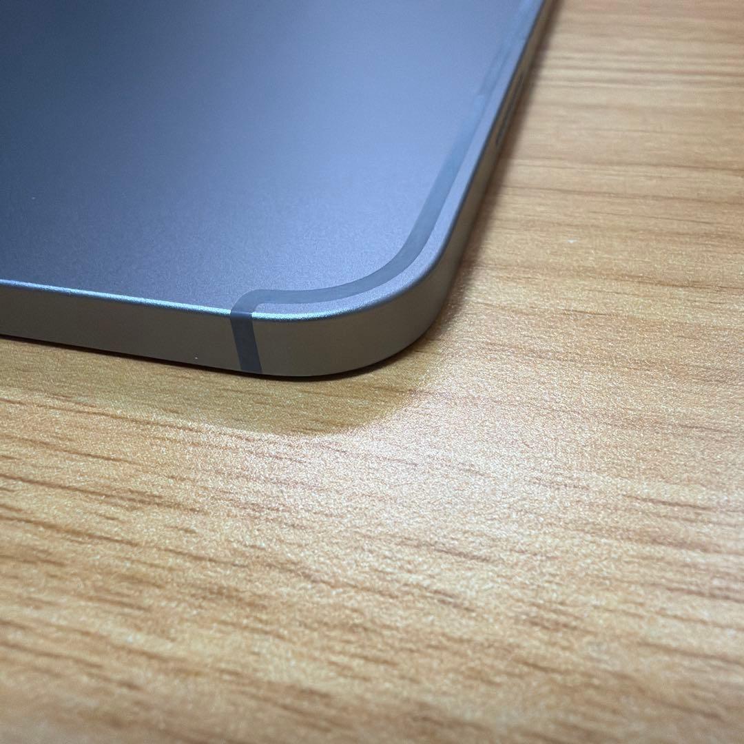 iPad Pro 12.9インチ 第6世代 256GB セルラー