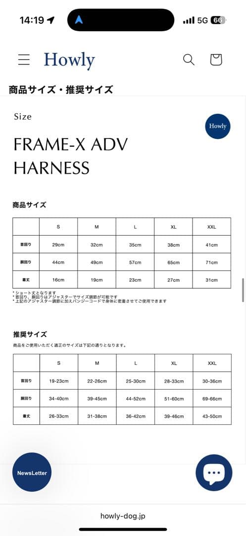 【Mサイズ黒】 試着のみHowly FRAME-X ADV HARNESS