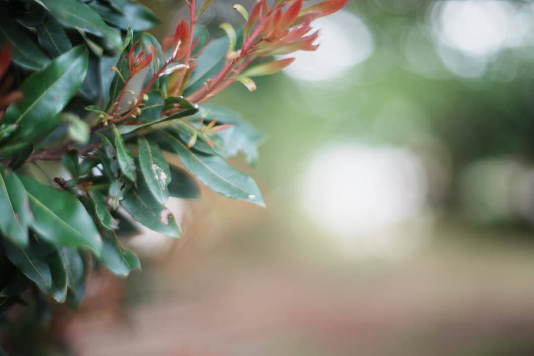 【極美品】動作◎ リコー RIKENON P 55mm F1.2 大口径 480