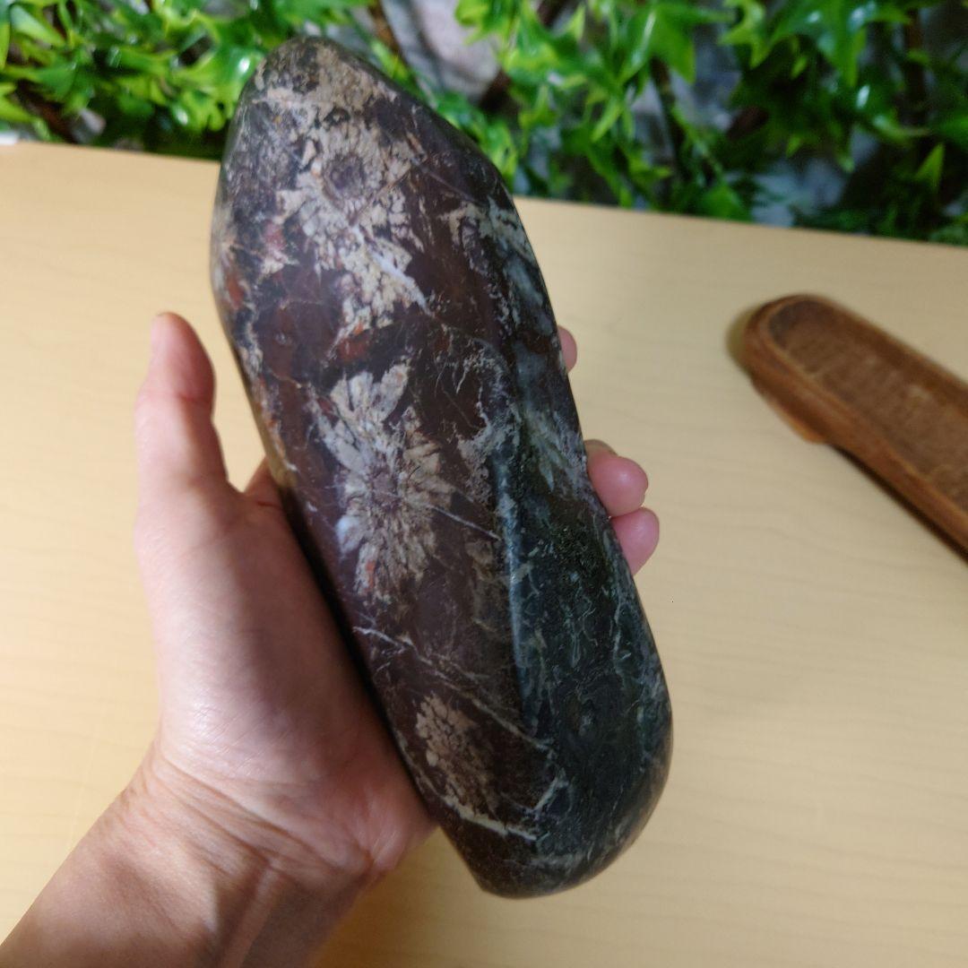 菊花石 鑑賞石　4輪の花　岐阜県根尾谷産　　台座付き 約20cm1.34kg