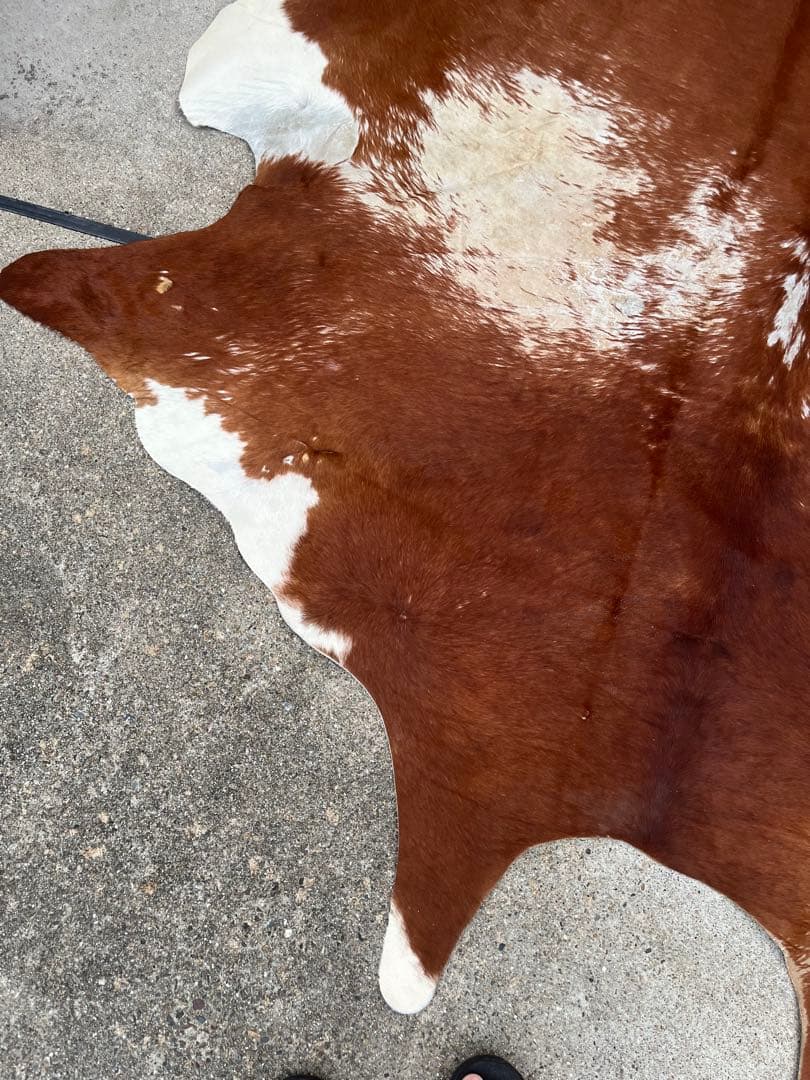 天然牛革ラグ 茶色と白の模様