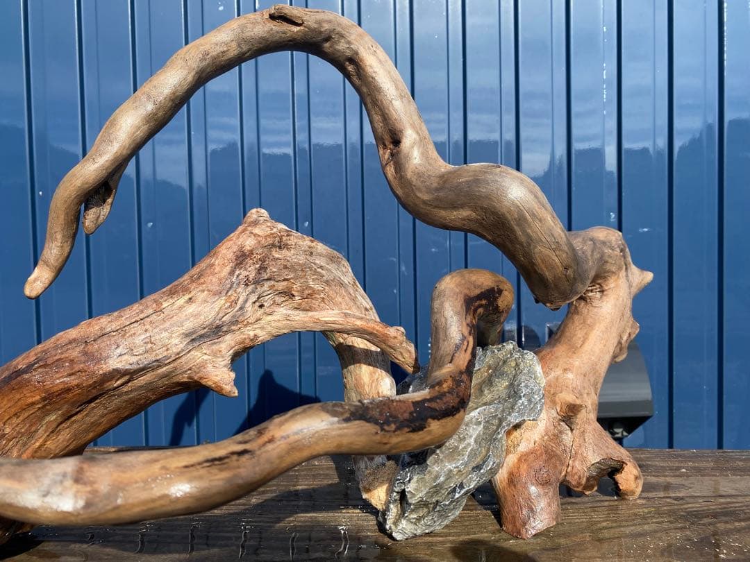 流木レイアウト 超大型　A862