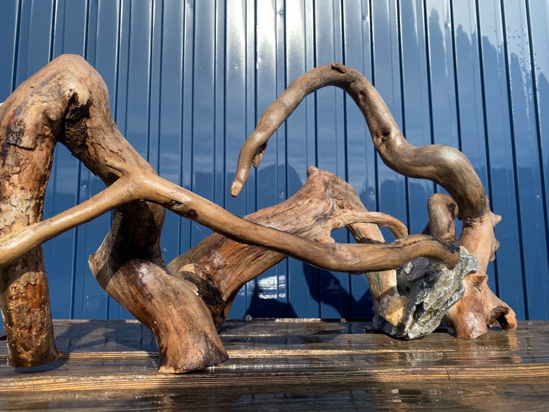 流木レイアウト 超大型　A862