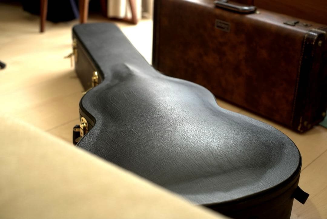 baden ギター　A style ベーデン　ハードケース付