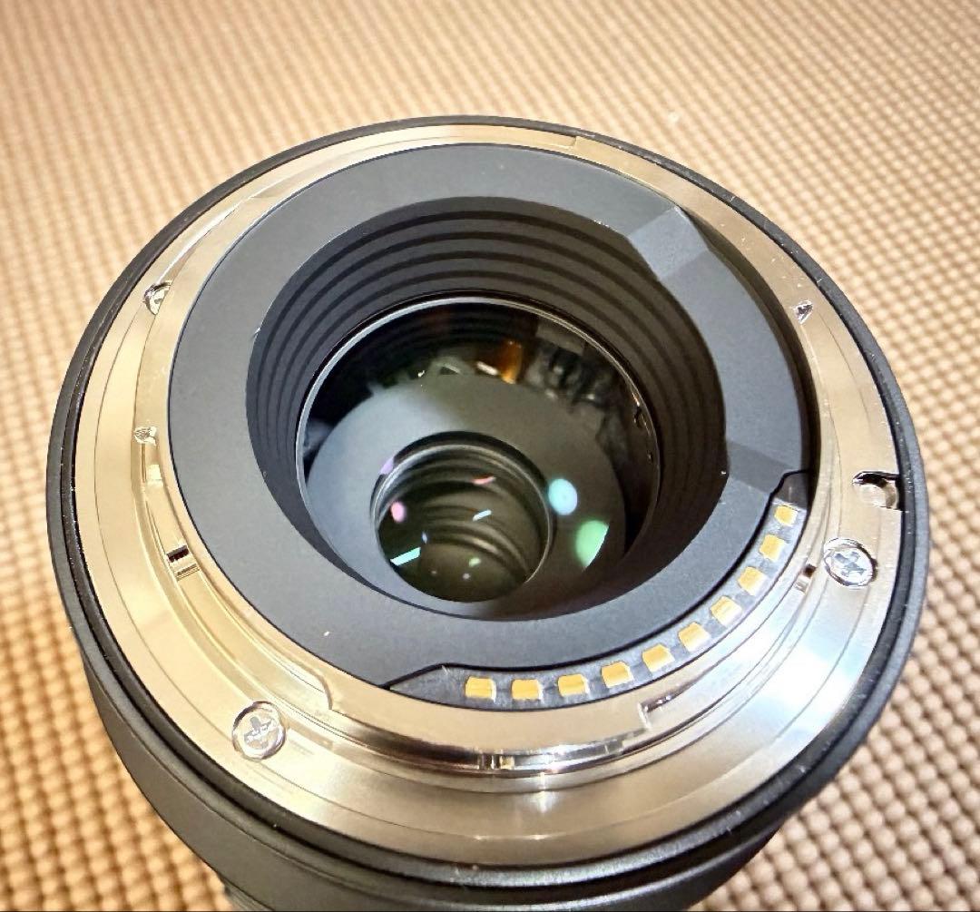 SIGMA 16-300mm F3.5-6.7 DC OSズームレンズ SONY