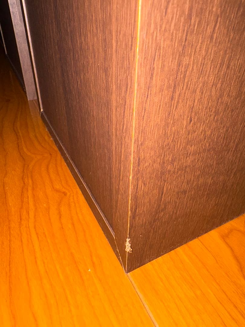 SONY トールスピーカー SS-F6000 2本ペア シリアル連番