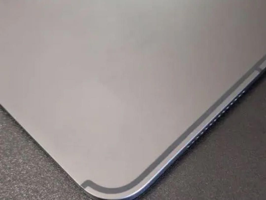 iPad Pro M4 Cellular 11インチ　 256GB SIMフリー