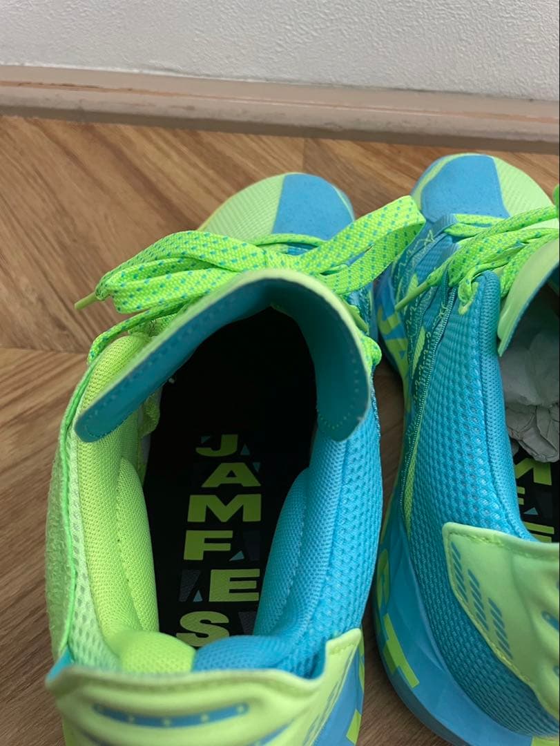 12/30値下げしました！【新品・未使用 ・箱付】デイム6 アディダス バッシュ