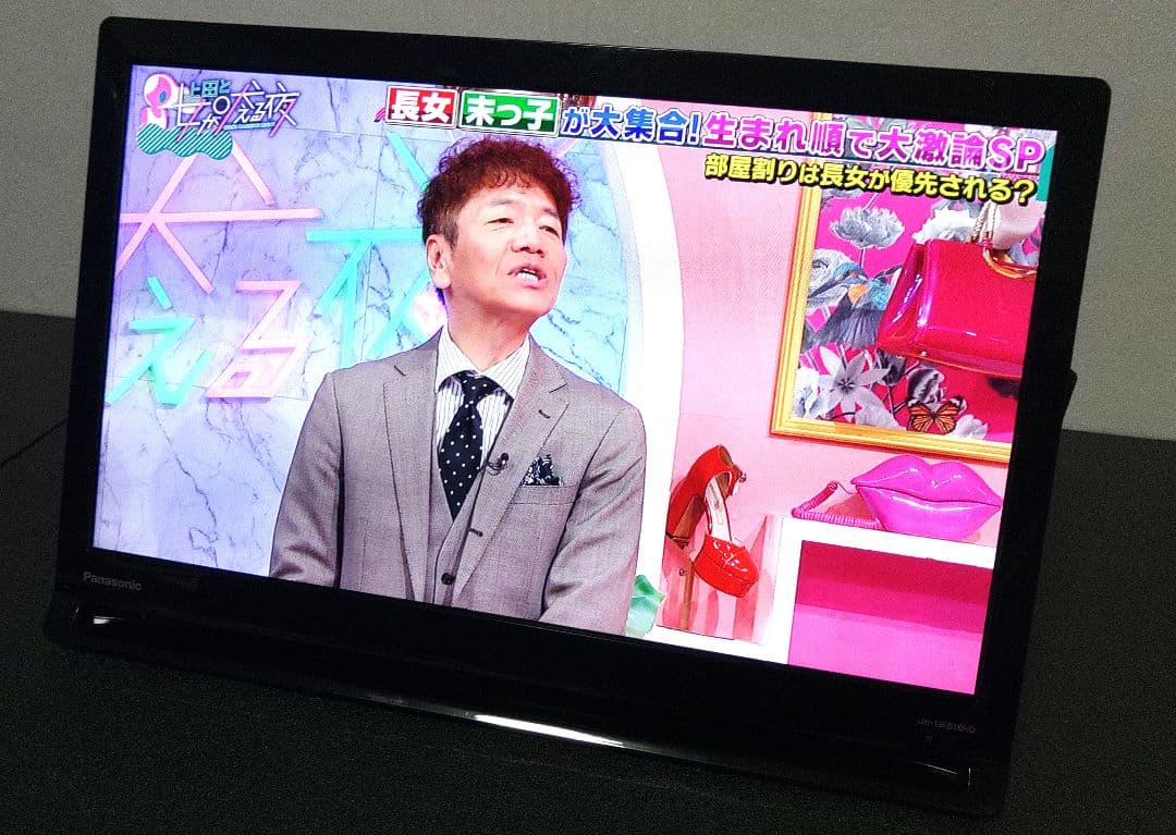 Panasonic プライベートビエラUN-19FB10HD
