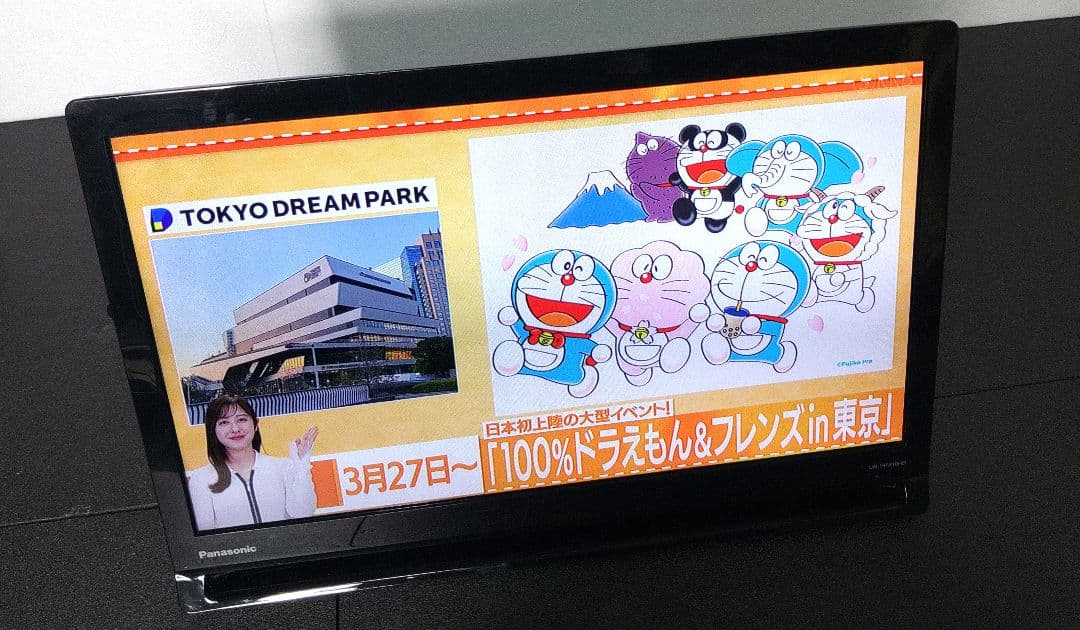 Panasonic プライベートビエラUN-19FB10HD