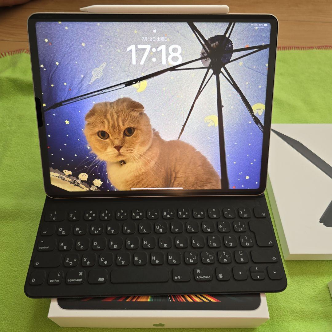 【美品】iPad Pro(第5世代)12.9インチ 256GBシルバー純正セット