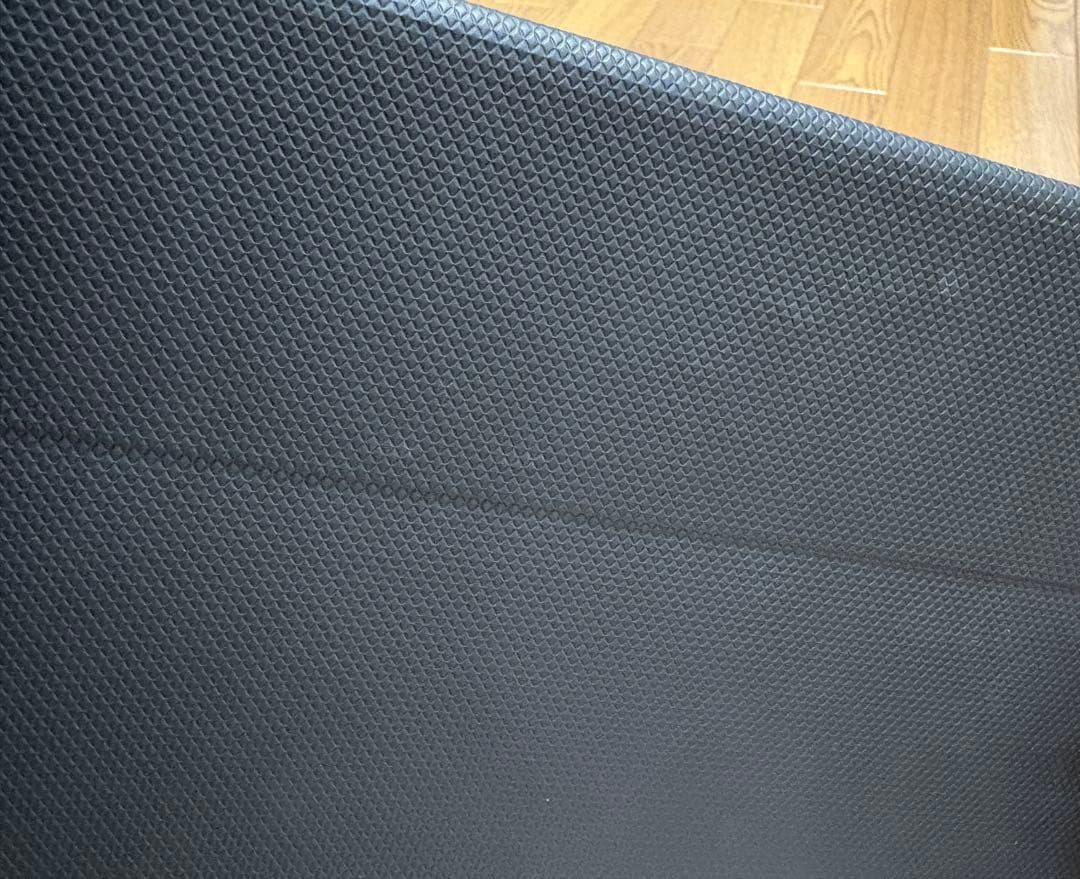 PRINCETON PTF-M133T モバイルディスプレイ