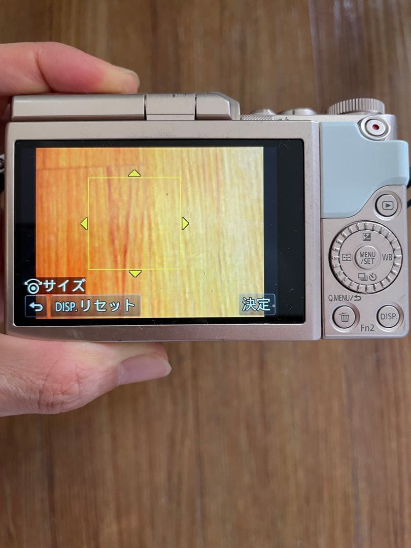 ❣️週末限定値下げ❣️LUMIX ミラーレスカメラ DC-GF10