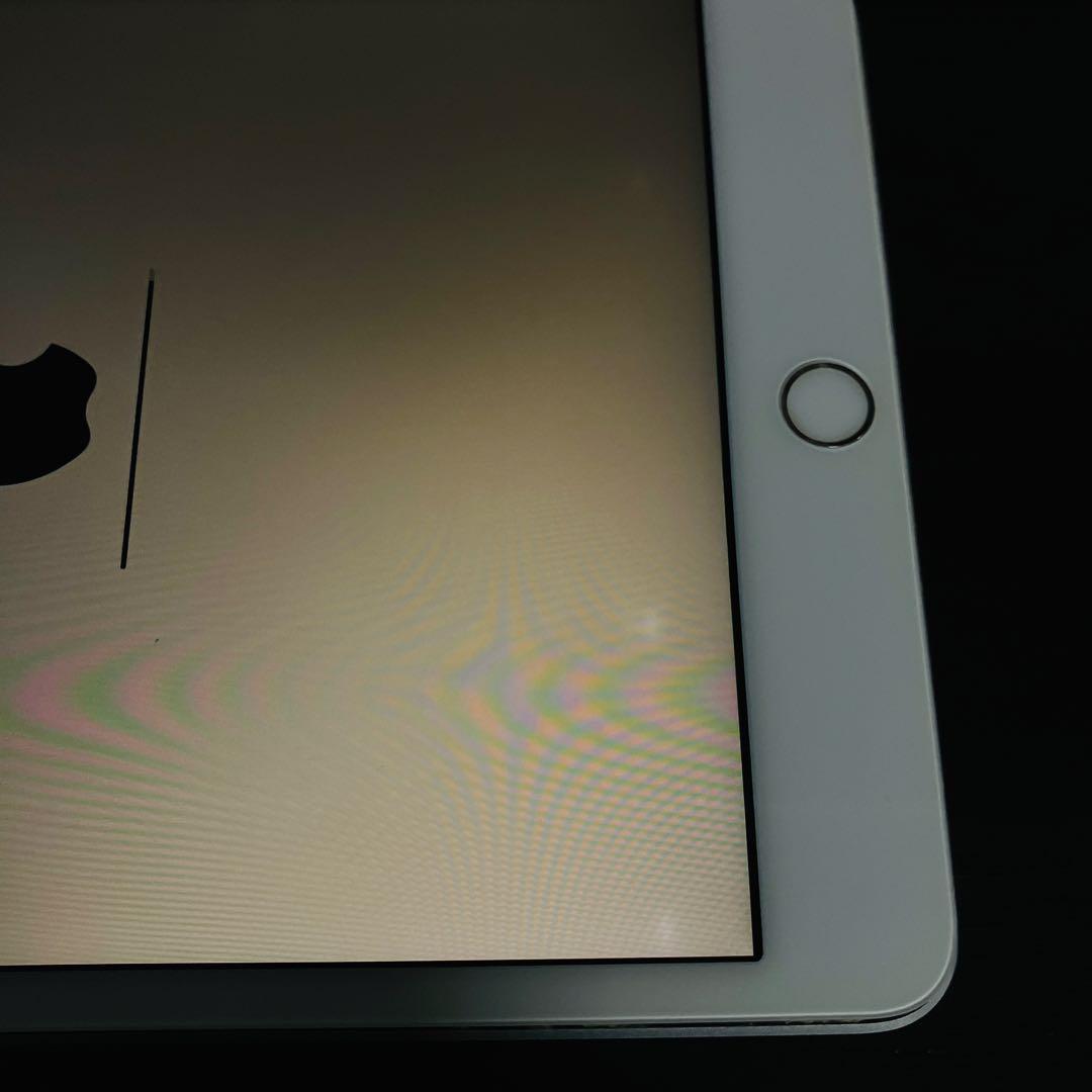 【画面浮きジャンク】iPad mini 5 64GB バッテリー100%