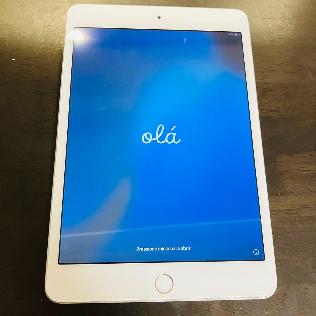 【画面浮きジャンク】iPad mini 5 64GB バッテリー100%