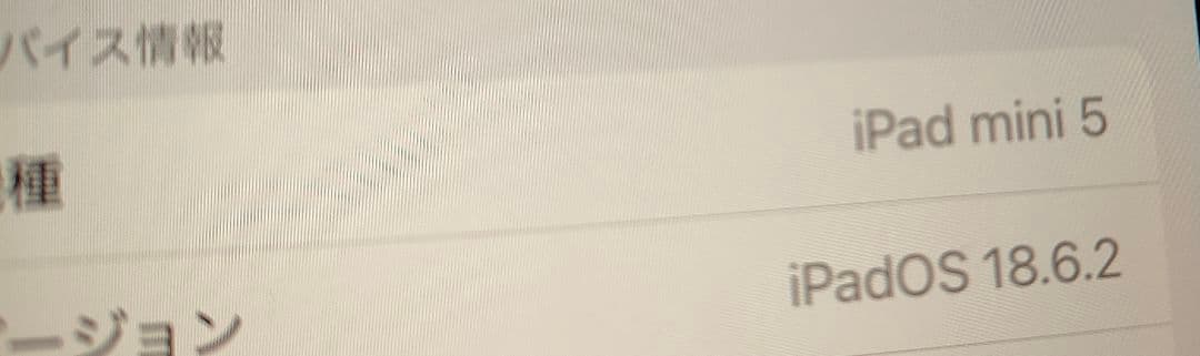 ★Apple iPad Mini Gold 256:充電ケーブル付中古wifi