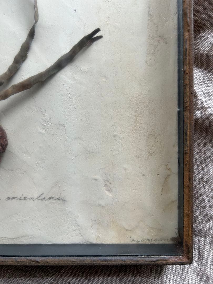 モリソン小林 special source 鉄の草花アート作品 idee