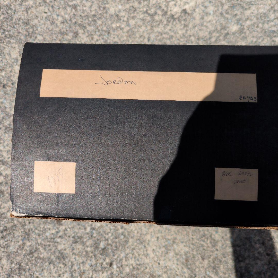 貴重　サルビノ　Michael Jordan 限定フィギュア　ナンバリングあり