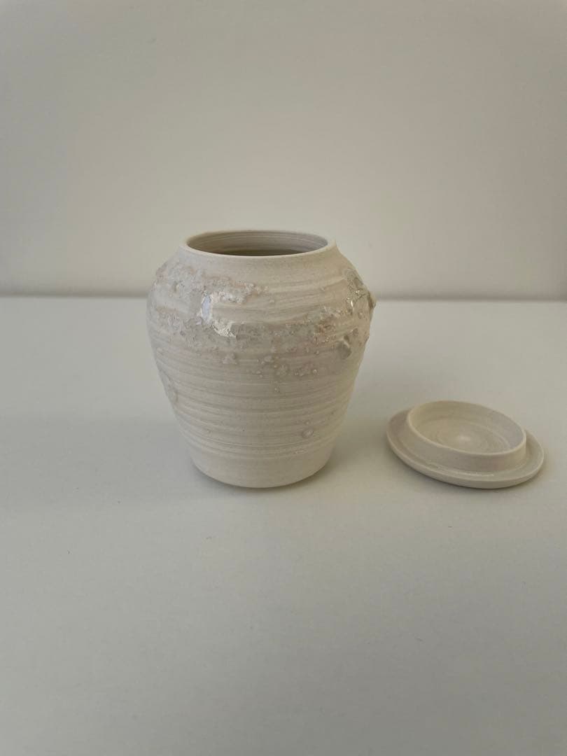 ★オノエコウタ★中国茶、茶道　茶器　茶入れ