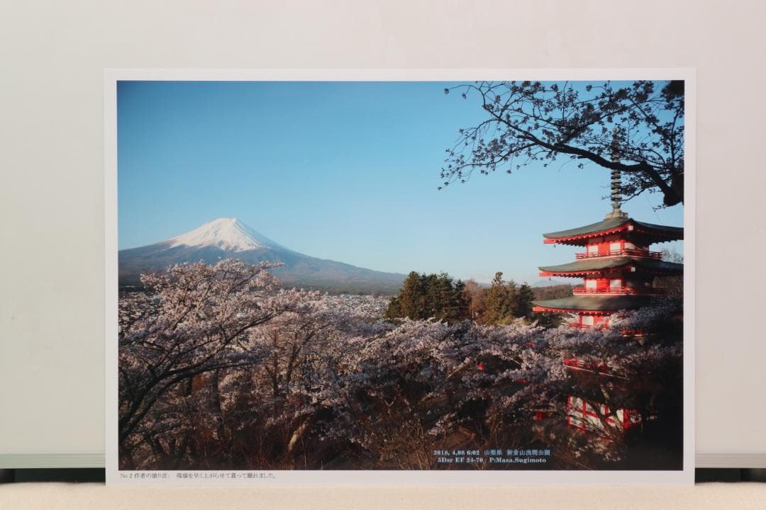 インテリア用写真