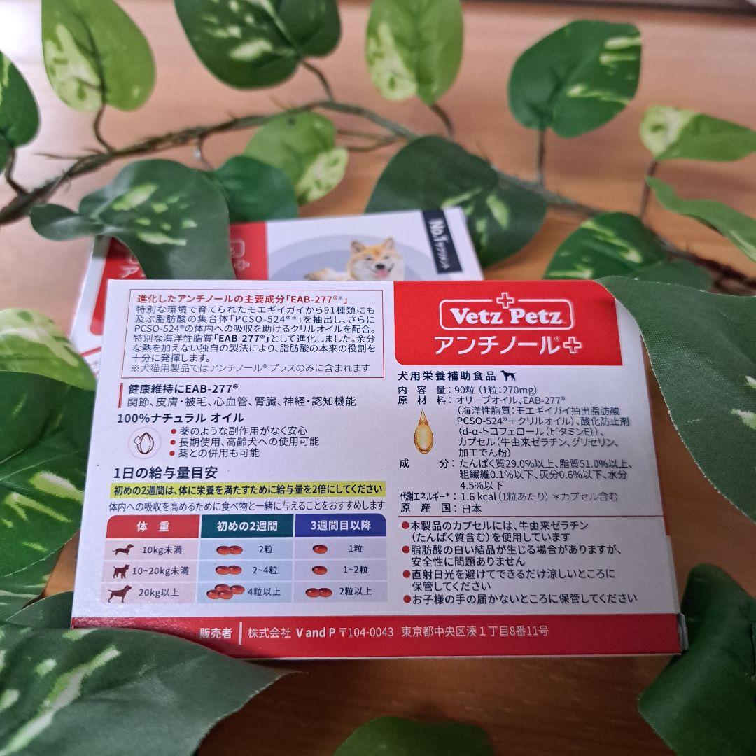 アンチノールプラス 90粒(2箱)