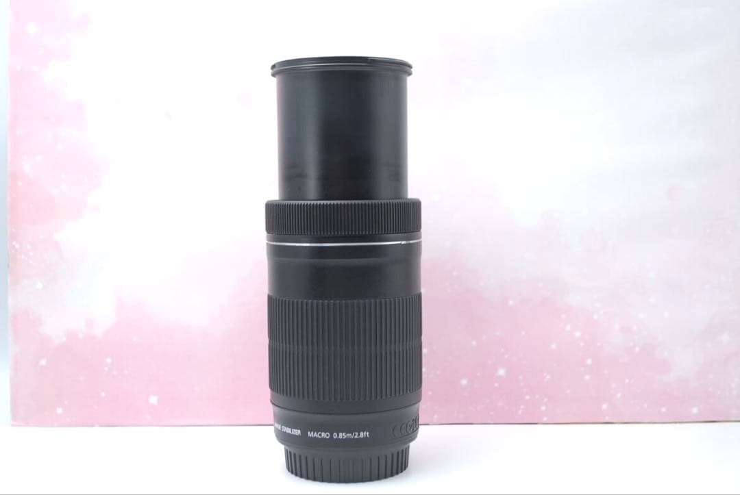 ⭐最新望遠レンズ⭐EF-S 55-250mm IS STM 一眼レフ 望遠レンズ