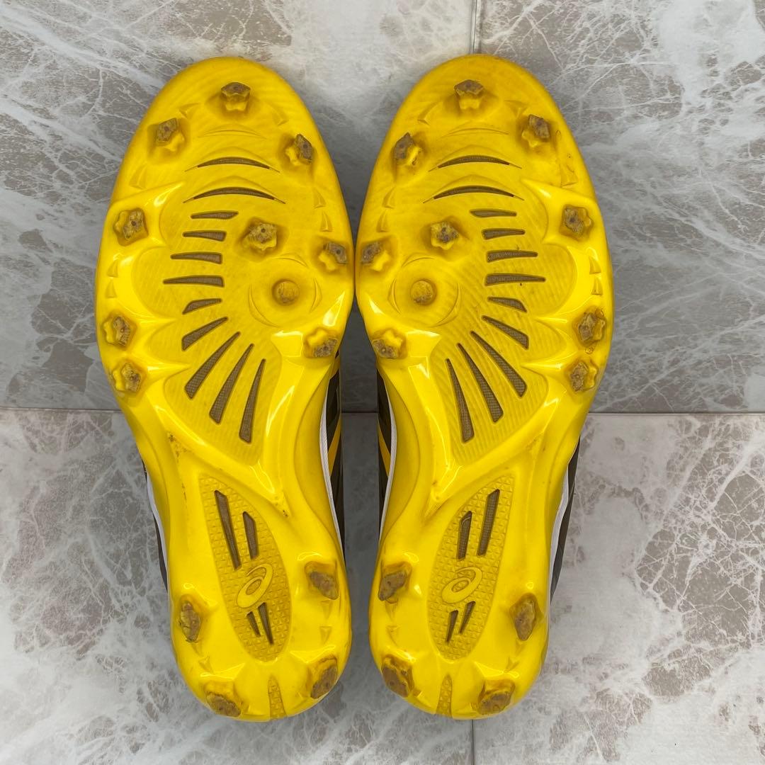 まつ　アシックス ゴールドステージ ファング