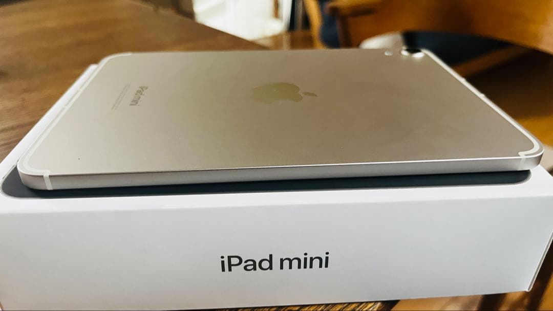 iPad mini (第7世代) Wi-Fi + Cellular 256GB