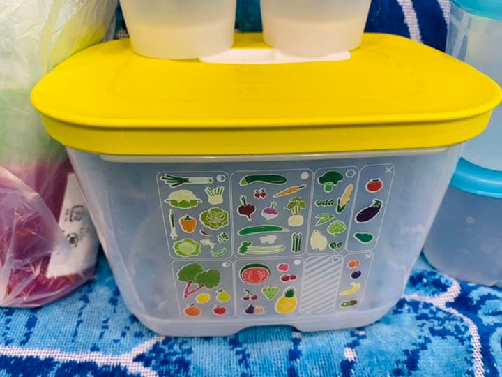 タッパーウェア　２３点　まとめ売り　フリーザーメイト他