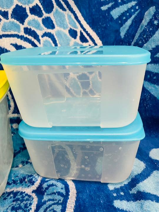 タッパーウェア　２３点　まとめ売り　フリーザーメイト他