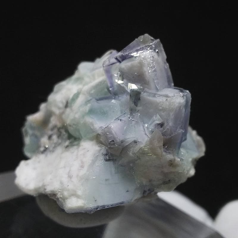 329 ポーセリンフローライト