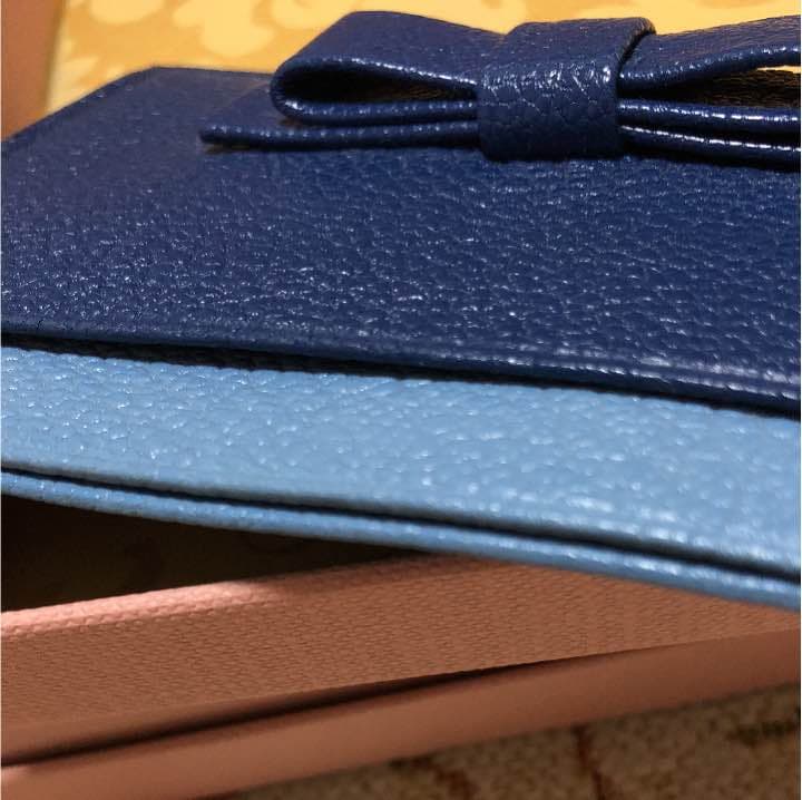 ⭐️MIU MIU パスケース