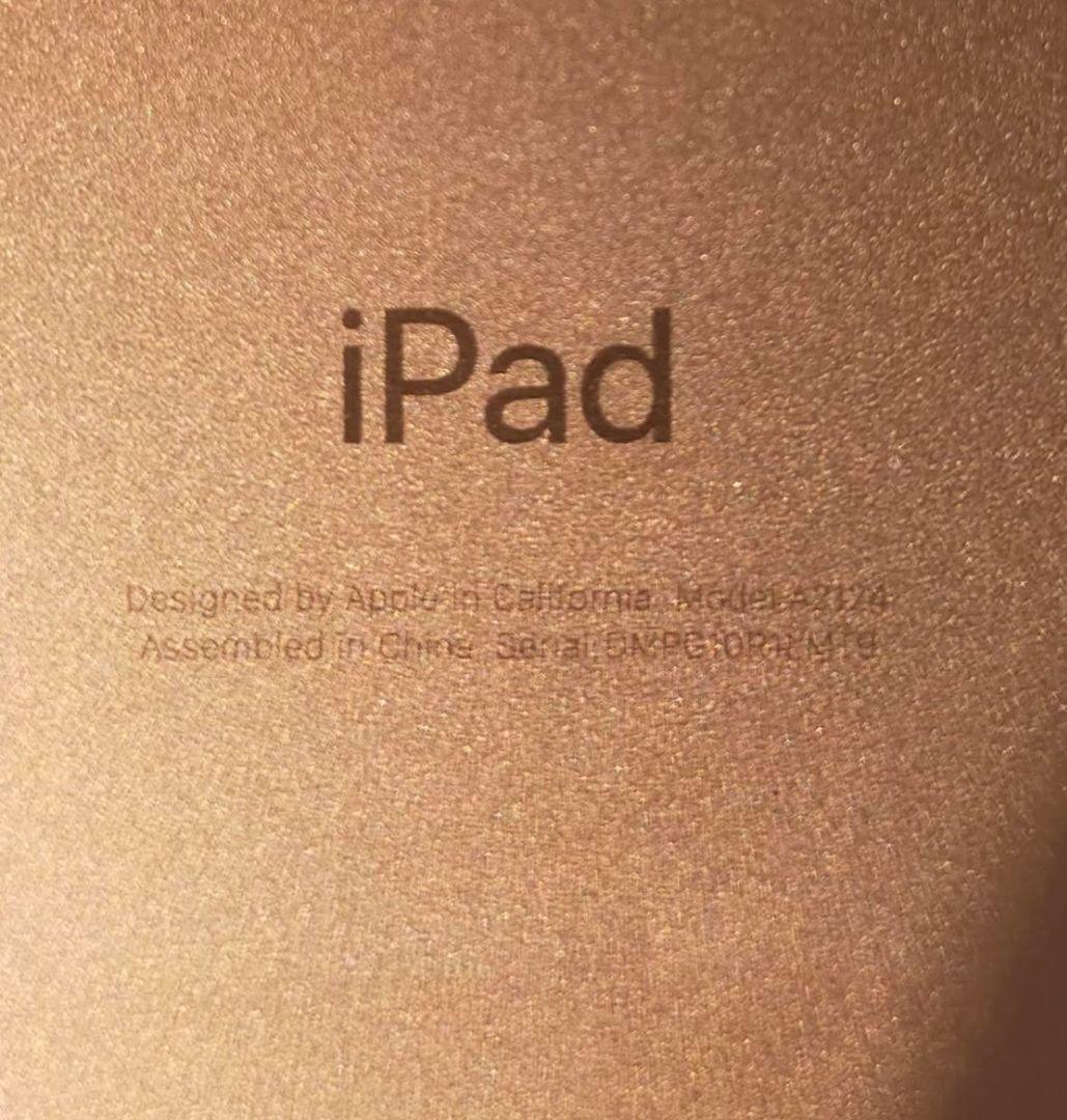 正常動作 IPad mini 第5世代 新品パーツ満載 SIMフリー