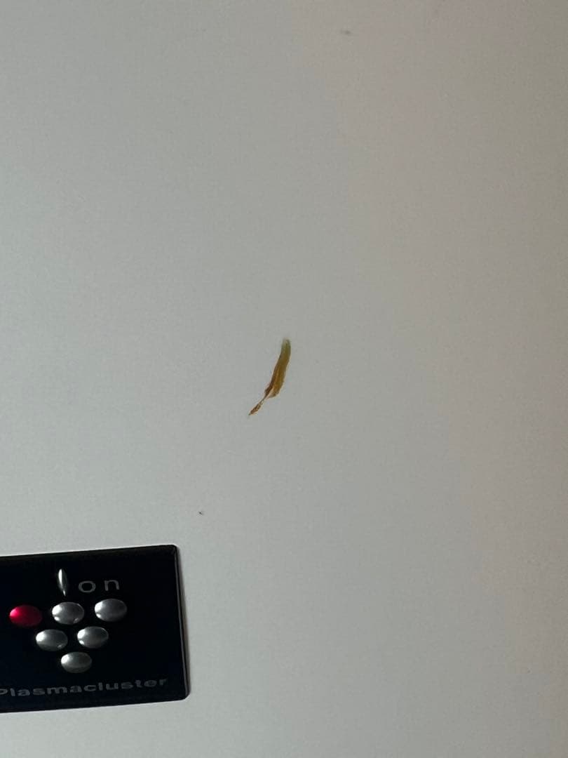 SHARPシャープ加湿器 加熱気化式 21畳　2021年製　動作確認済み