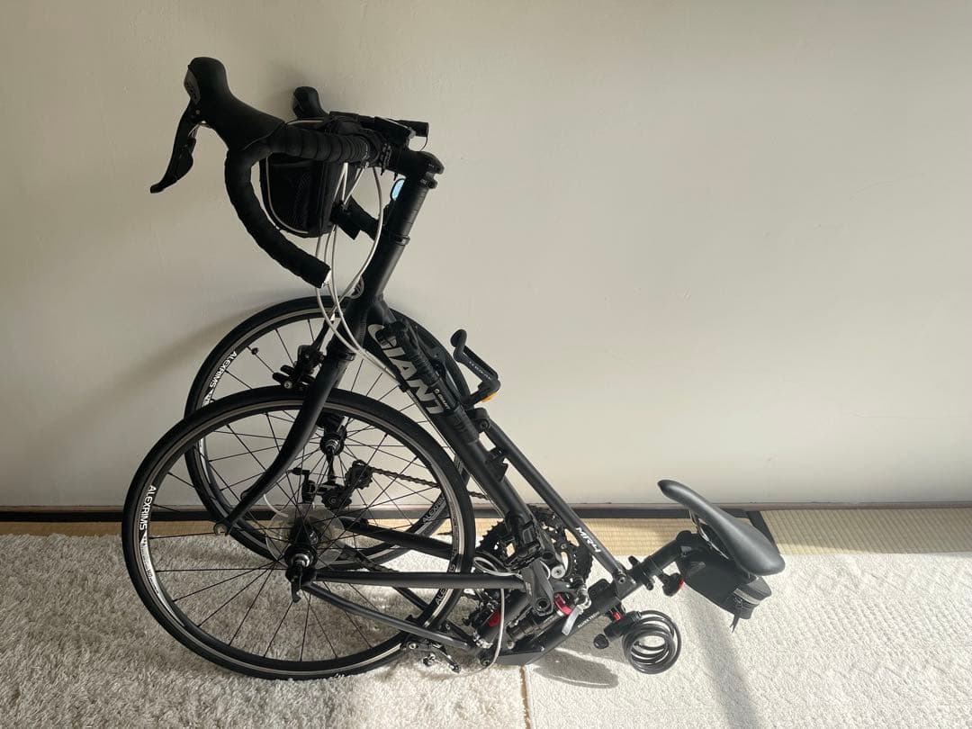 GIANT MR4 ミニベロ 折りたたみ自転車　収納バッグ　空気入れ　ライト付き