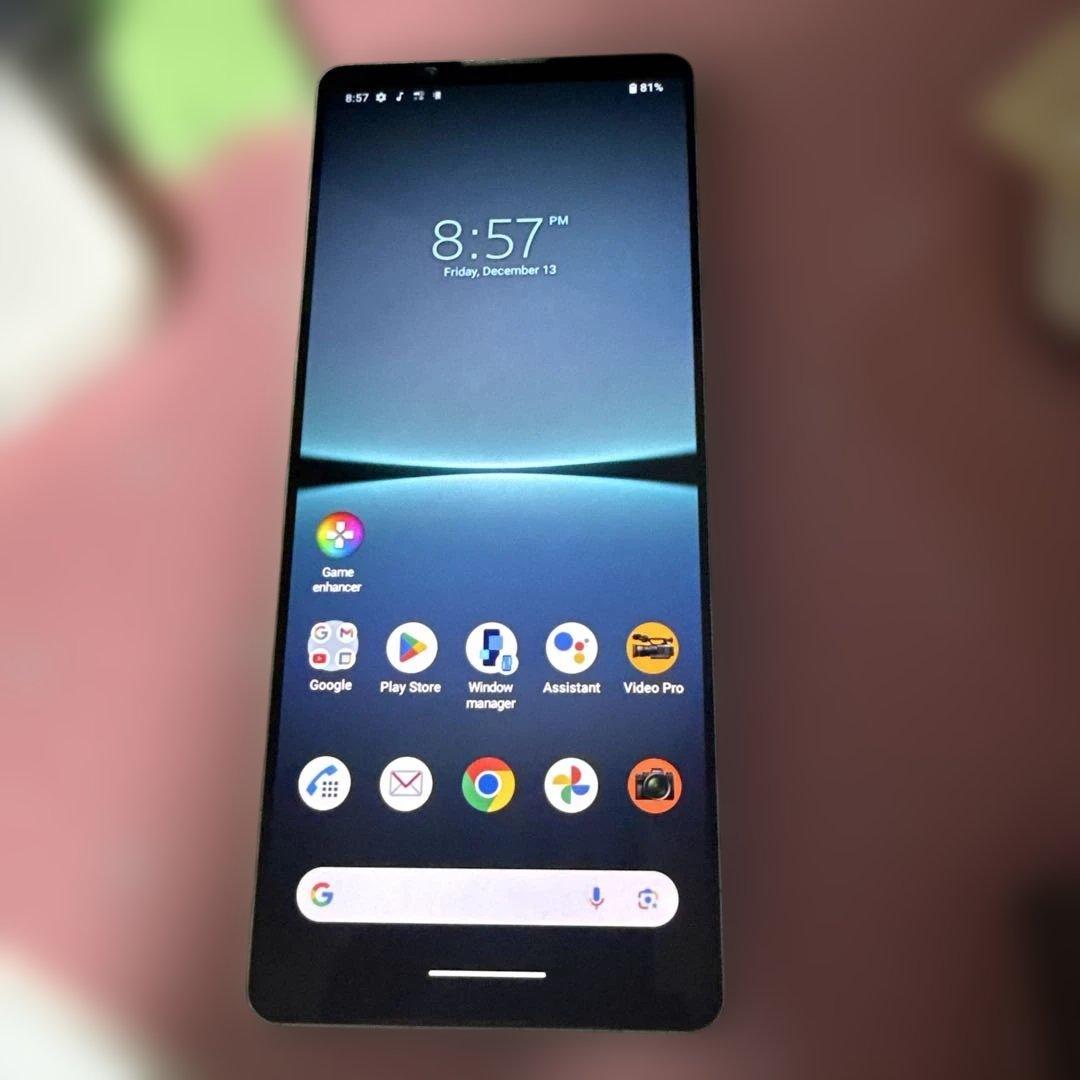 訳ありXperia 1 IV SO-51C 256GB SIMフリー